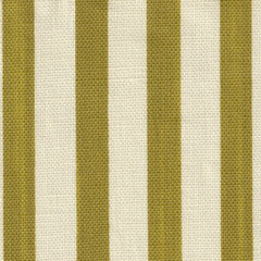 Load image into Gallery viewer, Lumbar Cushions - Petite Stripe, Pistachio