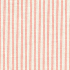 Load image into Gallery viewer, Painted Pinstripe - Blossom