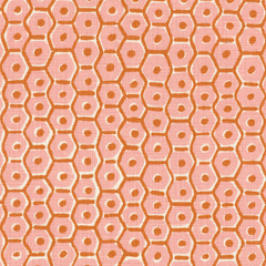 Load image into Gallery viewer, Rosetta by Walter G - Blossom