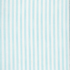Load image into Gallery viewer, Painted Pin Stripe - Sky