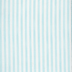 Load image into Gallery viewer, Painted Pin Stripe - Sky