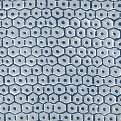 Load image into Gallery viewer, Rosetta by Walter G - Duck Egg