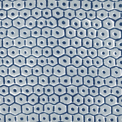 Load image into Gallery viewer, Rosetta by Walter G - Duck Egg