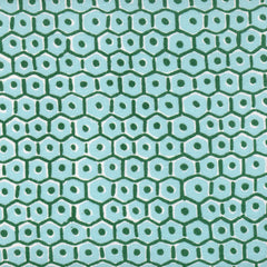 Load image into Gallery viewer, Rosetta by Walter G - Emerald Sky