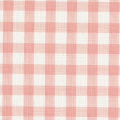 Load image into Gallery viewer, Painted Gingham – Blossom
