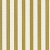 Painted Petite Stripe - Pistachio