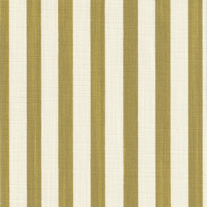 Painted Petite Stripe - Pistachio