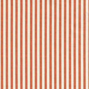 Painted Pinstripe - Burnt Orange