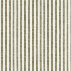 Painted Pinstripe - Olive