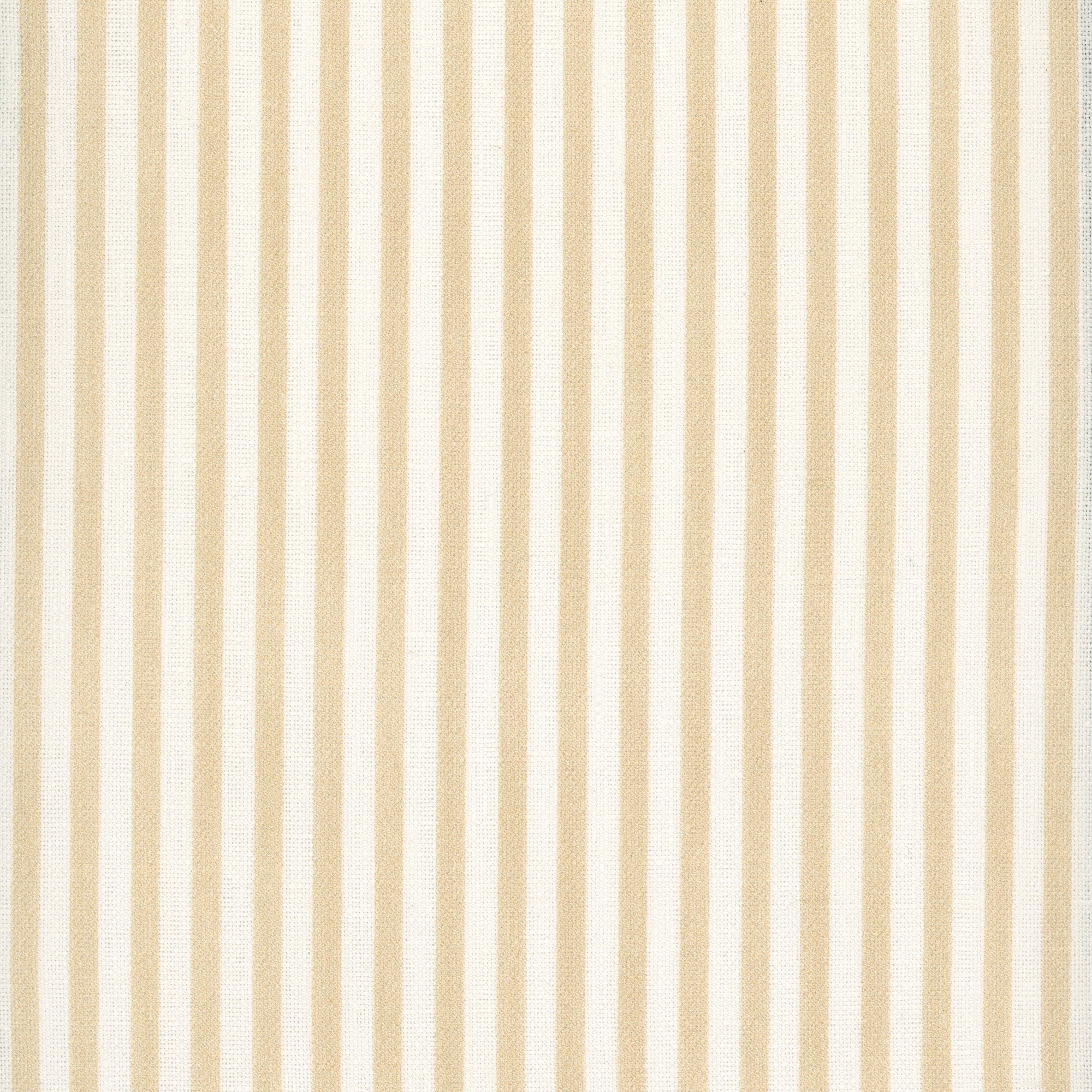 Painted Pin Stripe - Sand