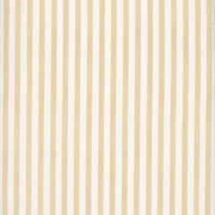Load image into Gallery viewer, Painted Pin Stripe - Sand
