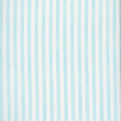 Load image into Gallery viewer, Painted Pin Stripe - Sky
