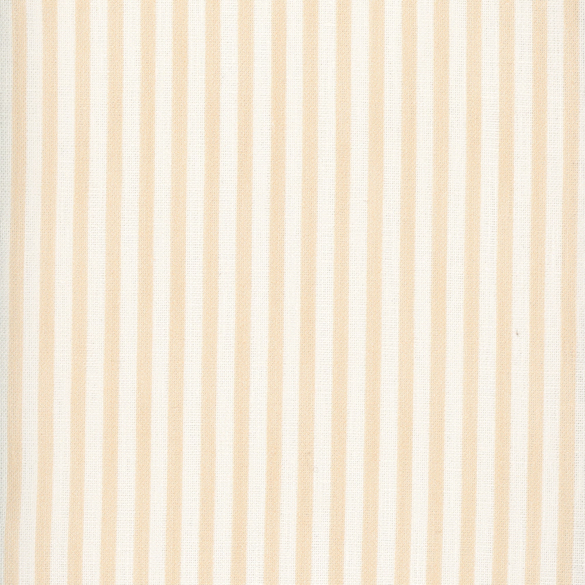 Painted Pin Stripe - Sorbet