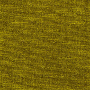 Load image into Gallery viewer, Velvet - Golden Willow

